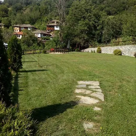 Aiva 3