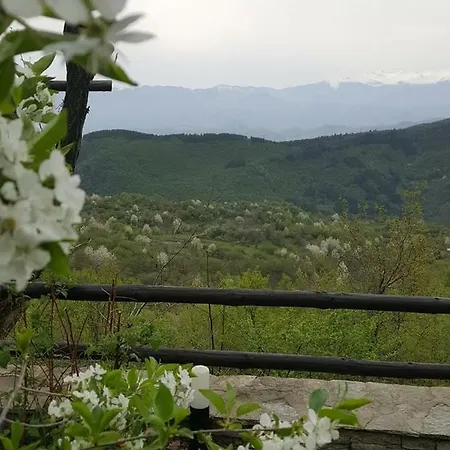 Aiva 3 Ваканционна къща